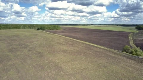 Bird eye view boundless fields against forest under nice sky Stock Footage 104256612