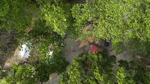 Bird Eye view camp ground wit lush of greenery Stock Footage 250505393
