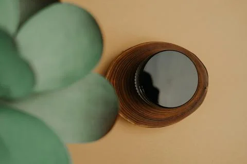 Bird eye view of container and plant leaf, collection Stock Photos