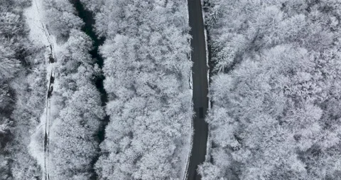 Bird eye view drone shot of a beautiful winter foggy scenery. Stock Footage 172258316