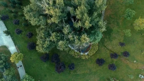 Bird eye view of farm Stock Footage 113680486