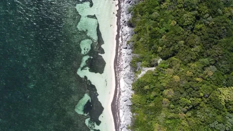 Bird Eye View of Forest and Beach in Caribbean Stock Footage 171087009