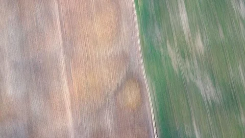 Bird eye view of moving from plowed to green agricultural field Stock Footage 122520233