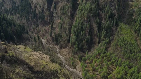Bird eye view of Parvati Valley - Big forest of Pine trees with a dry Stock-Footage 244648138
