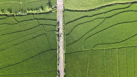 Bird Eye View on Rider Stock Footage 146568978