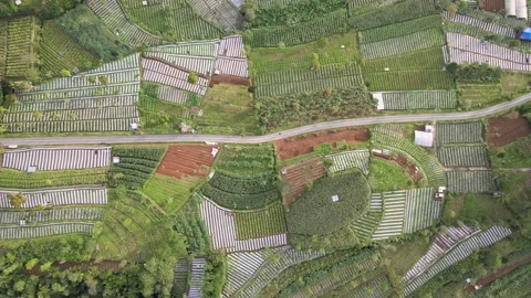 Bird Eye View on Riders Stock Footage 146999231