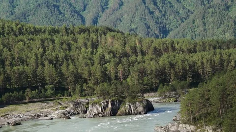 Bird-eye view of swift river in the forest Stock Footage 76641763