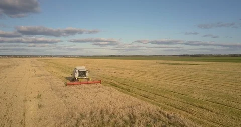Bird eye view thresher harvests ripe cereal against sky Stock Footage 111775802