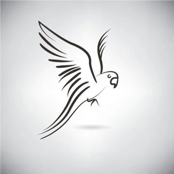 Bird, falcon Illustrazione stock