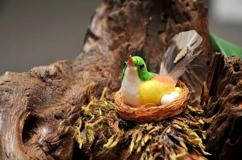 Bird false Stock Photos