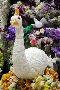 Bird false Stock Photos