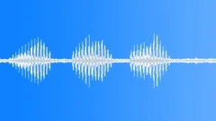 BIRD FAN TAILED CUCKOO CALL04 Sound Effect