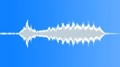 BIRD FAN TAILED CUCKOO CHIRP01 Sound Effect
