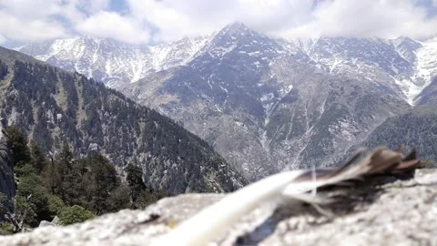 Bird feather 2 with mountain horizontal Stock Footage 154761227
