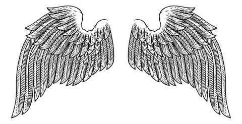 Bird Feather Angel Eagle Wings Pegasus Design Stock Illustration