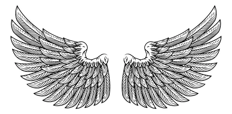 Bird Feather Angel Eagle Wings Pegasus Design Stock Illustration