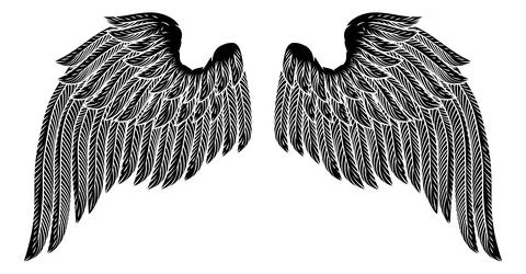 Bird Feather Angel Eagle Wings Pegasus Design Stock Illustration