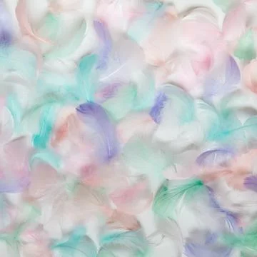 Bird feather for background image. Beautiful background from multi-colored fe Stock Photos