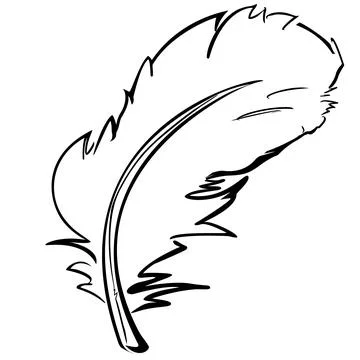 Bird feather contour sketch Stock Illustration