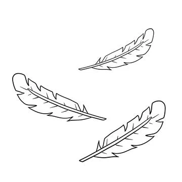 Bird feather. Decorative element. Cartoon illustration. Stock Illustration