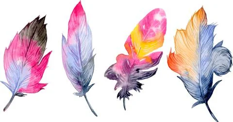 Bird feather element set. Hand drawn watercolor illustration. Stock Illustration