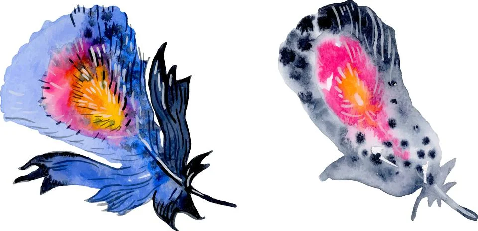 Bird feather element set. Hand drawn watercolor illustration. Stock Illustration