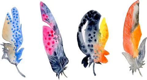 Bird feather element set. Hand drawn watercolor illustration. Stock Illustration
