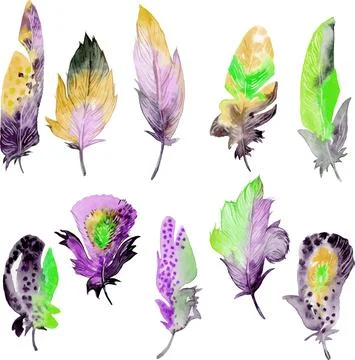 Bird feather element set. Hand drawn watercolor illustration. Stock Illustration