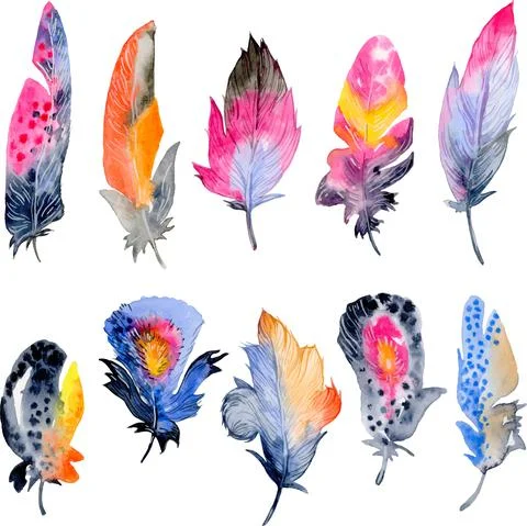 Bird feather element set. Hand drawn watercolor illustration. Stock Illustration
