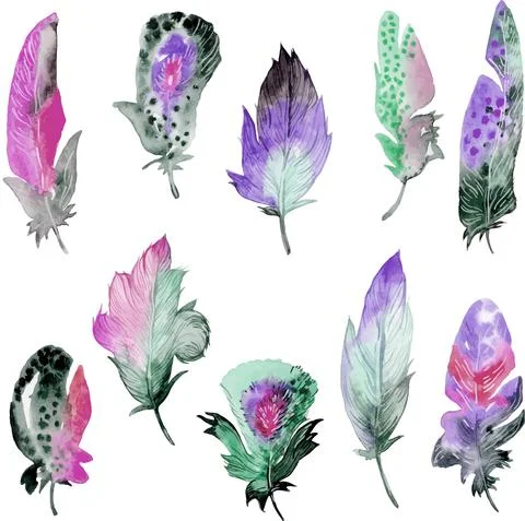 Bird feather element set. Hand drawn watercolor illustration. Stock Illustration
