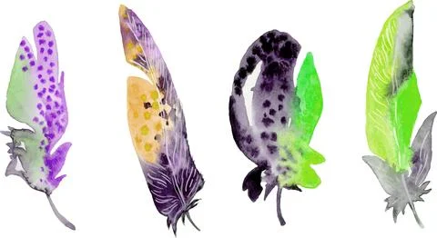 Bird feather element set. Hand drawn watercolor illustration. Stock Illustration