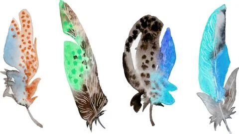 Bird feather element set. Hand drawn watercolor illustration. Stock Illustration