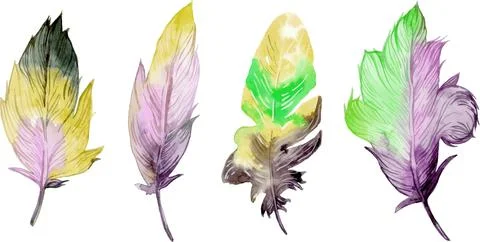 Bird feather element set. Hand drawn watercolor illustration. Stock Illustration