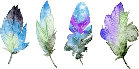 Bird feather element set. Hand drawn watercolor illustration. Stock Illustration