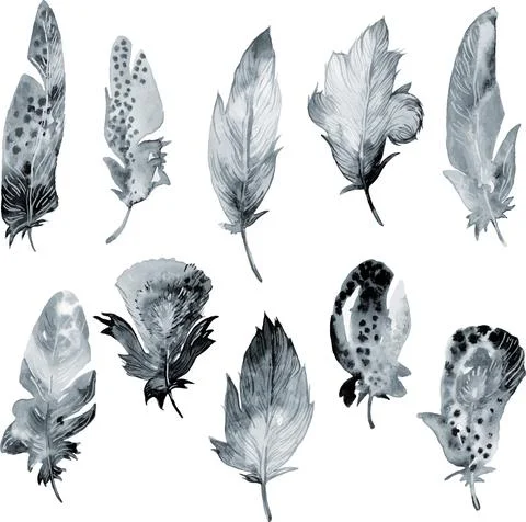 Bird feather element set. Hand drawn watercolor illustration. Stock Illustration