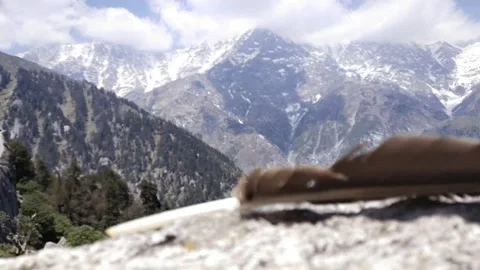 Bird feather falling on Stone horizontal Video stock 154759869