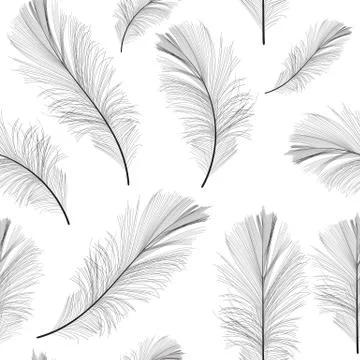 Bird Feather Hand Drawn Seamless Pattern Background Vector Illus Stock Illustration