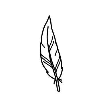 Bird feather isolated on white background Illustrazione stock