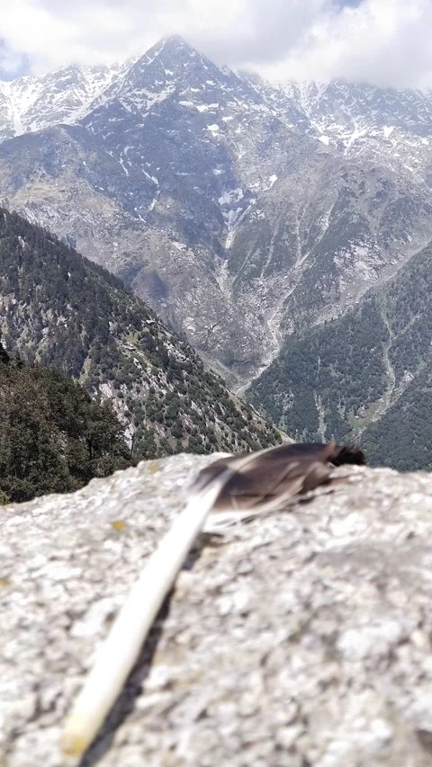 Bird feather with mountain Stock Footage 154760119