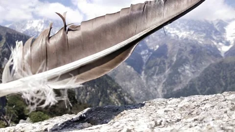 Bird feather moving 3 with mountain horizontal Stock Footage 154759992