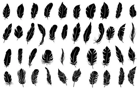 Bird Feather Silhouettes Stock Illustration