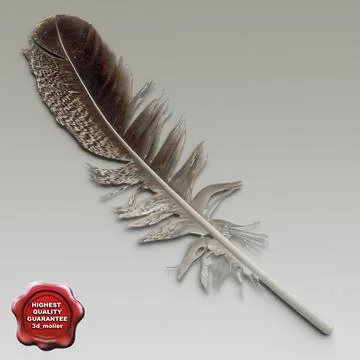 Bird feather V1 3D Model
