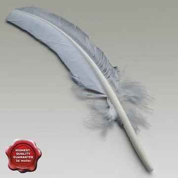 Bird feather V2 3D Model