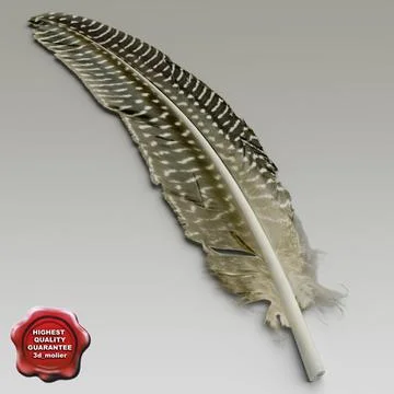 Bird feather V3 3D Model