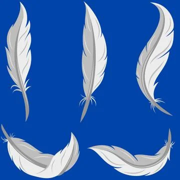 Bird feather vector design Ilustración de archivo