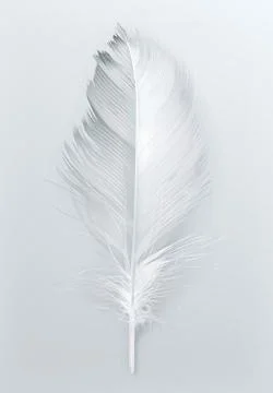 Bird feather, vector icon Stock Illustration