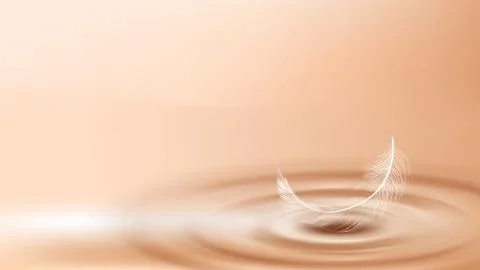 Bird Feather On Water Surface Copy Space Vector Stock Illustration