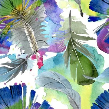Bird feather from wing isolated Stock Illustration