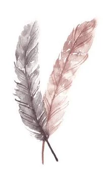 Bird feathers are painted with watercolors. vintage style painting Stock Illustration
