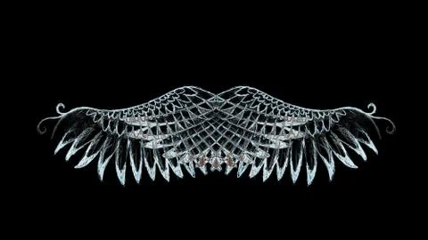 Bird feathers on black background. Original drawing and computer effect. Stock Illustration